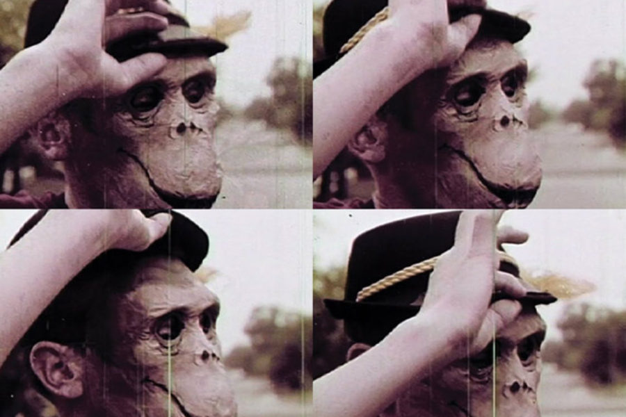 Dúo Cobra, Super 8 Contemporáneo y Primavera Sound