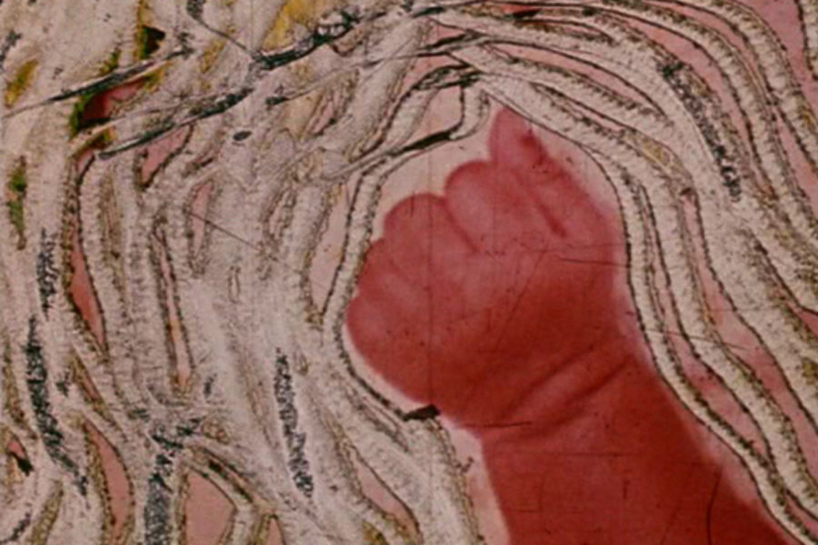 Naomi Uman: el arte de la manipulación