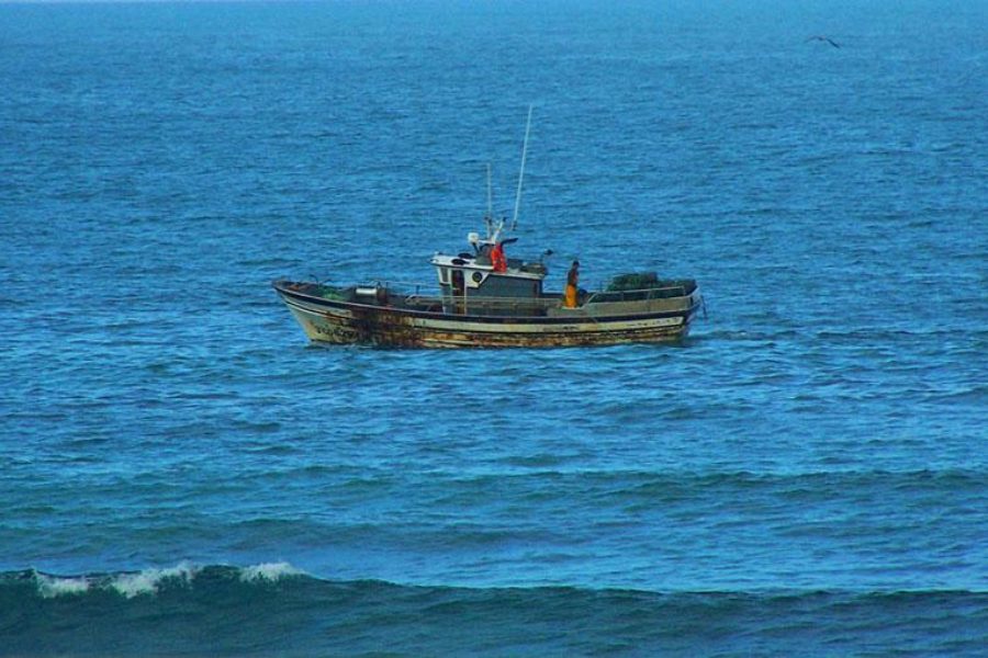 (S8) Sinais del cine gallego. El emigrante que retorna… En corto y en largo