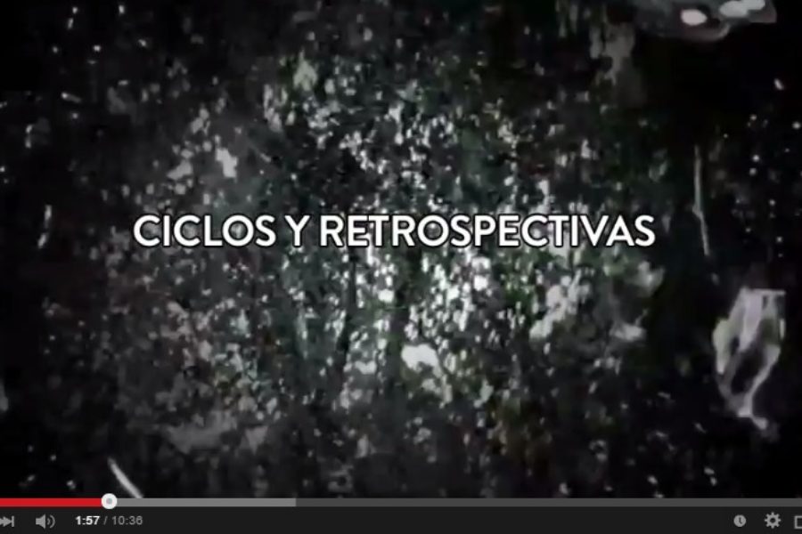 Vídeo-resumen (S8) 2014: ver lo que fue, desear lo que será