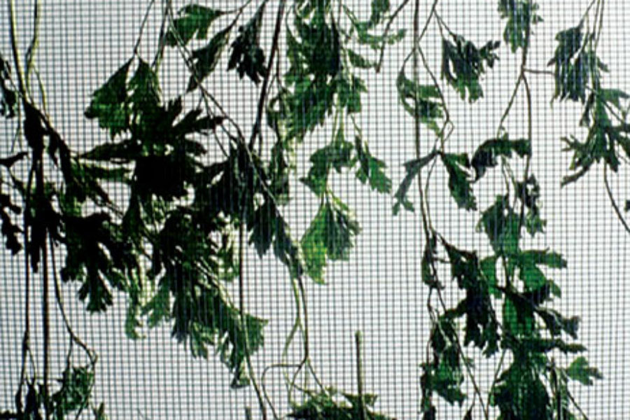 25 FPS, Zagreb, festival invitado de esta edición