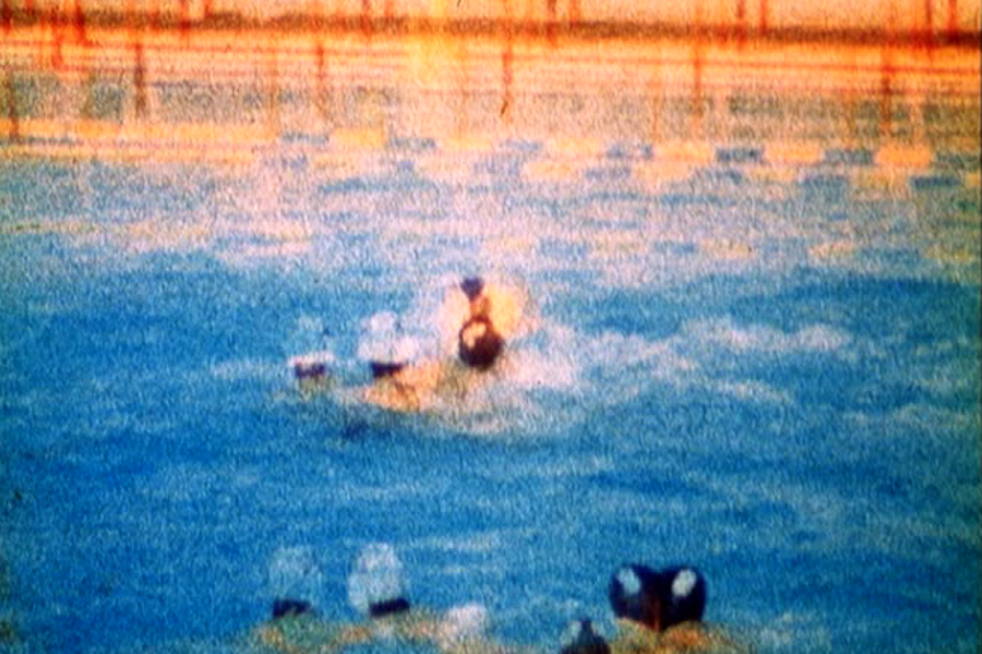 El jardín brillante del festival 25 fps