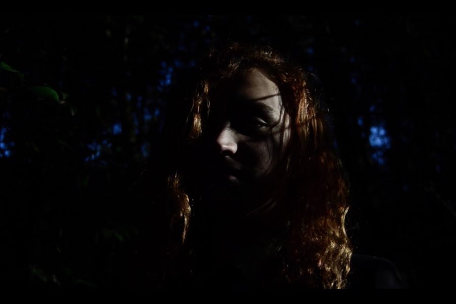 Sinais en curto. Tierra fértil