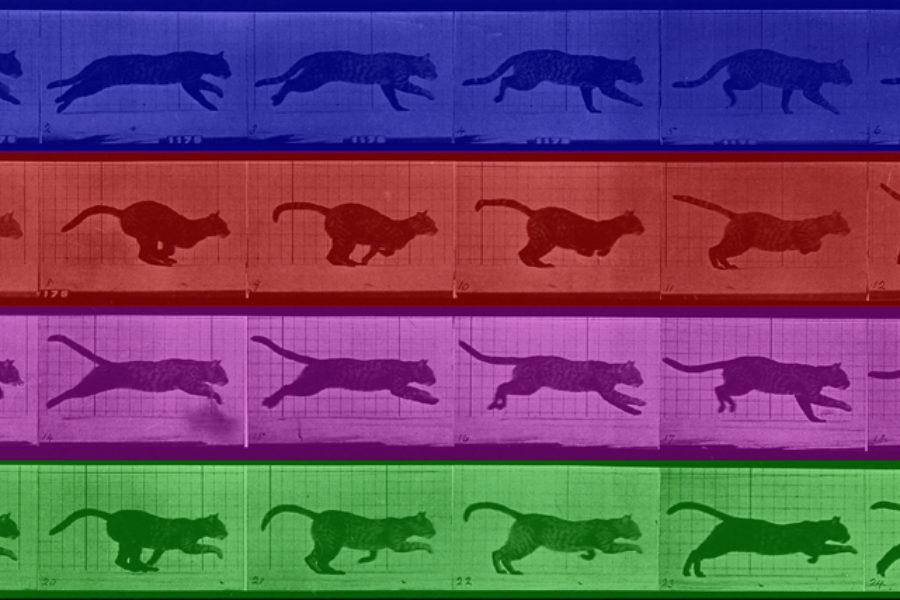 Mini (S8)La imagen expandida. Laboratorio de cine y experimentación audiovisual