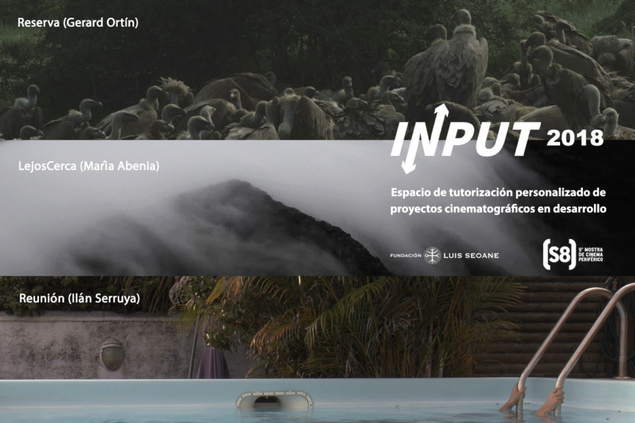 Proyectos seleccionados INPUT 2018