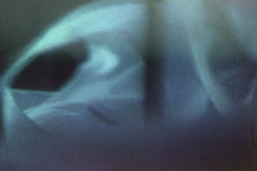 Ernie Gehr: «Crear una película es para mi como inspirar y expirar.»