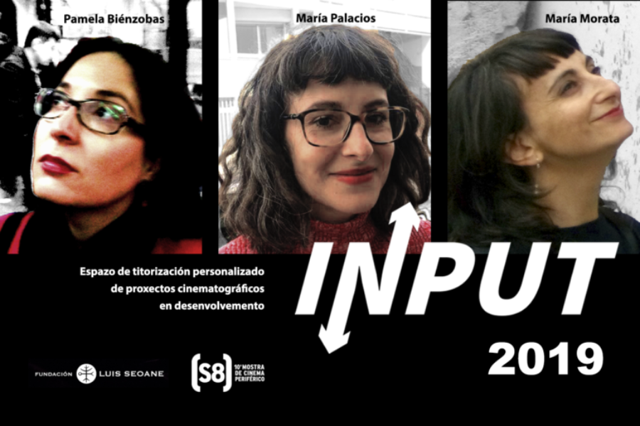 Tutoras INPUT 2019